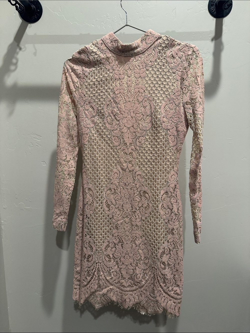 Tobi Blush Pink Lace Long-Sleeve Mini Dress